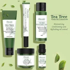Cream Care Cream Acne Orchard Tea Tree Private Label Natural Anti Acne Cream Skin Care Set Acne Treatment Cream