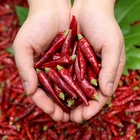 Pepper High Quality Wholesale Dry Hot Pepper Cayenne Pepper Red Chilli