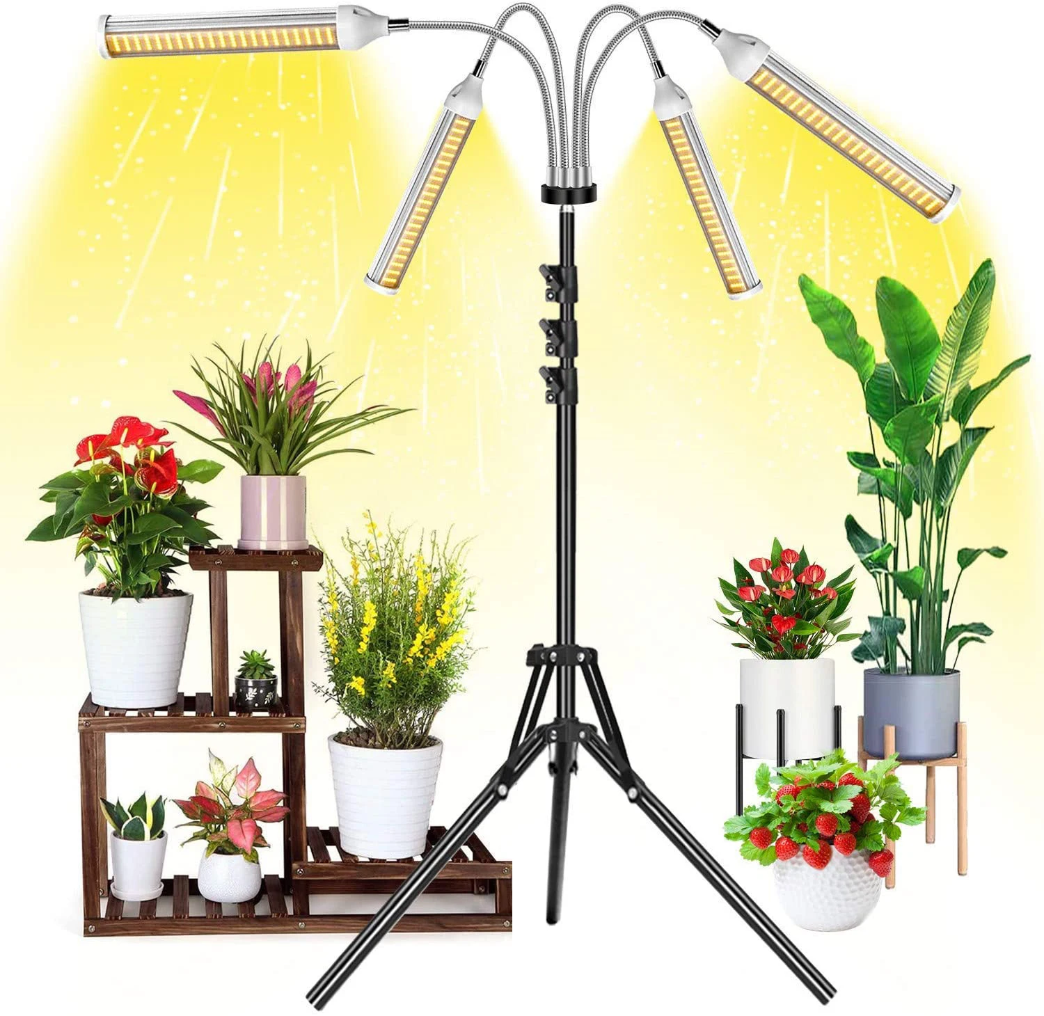 grow light with stand and timer