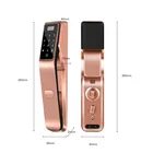 Lock Door Anti-theft Zinc Alloy Smart Lock Door Security Fingerprint Padlock