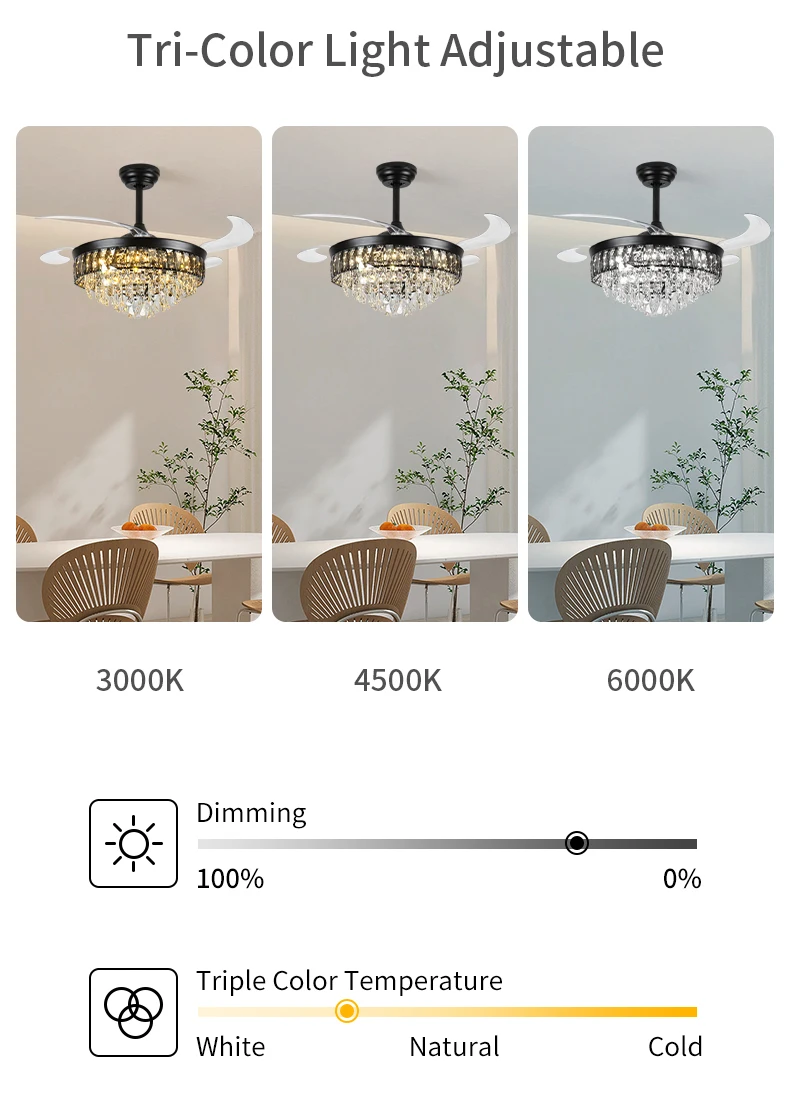 Ceiling Fan, 42-Inch, LED - detail 8