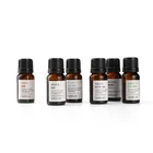 Oil 2021 Hot Selling Essential Oil Face Body Skin Care Antibacterial Tea Tree Oil