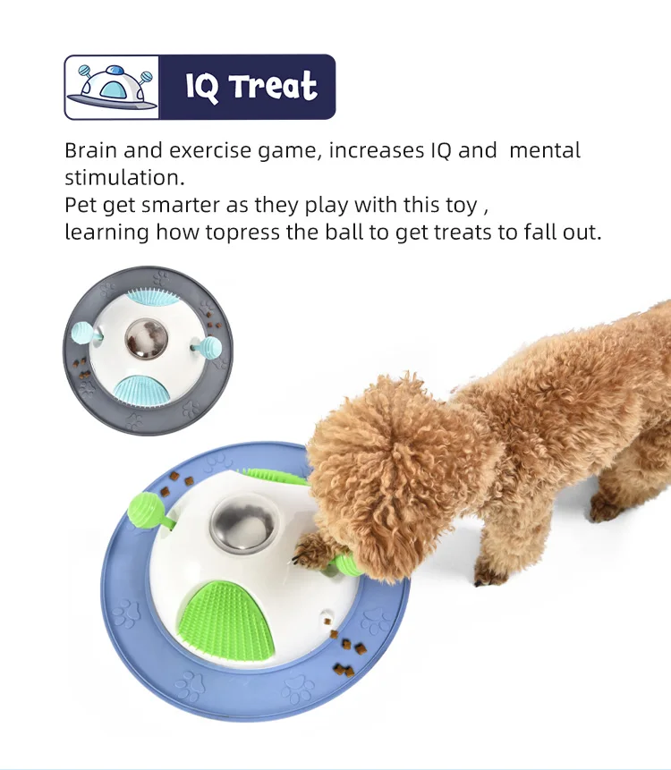 Pet Games - The Ultimate Guide to Fun and Engaging Pet Games