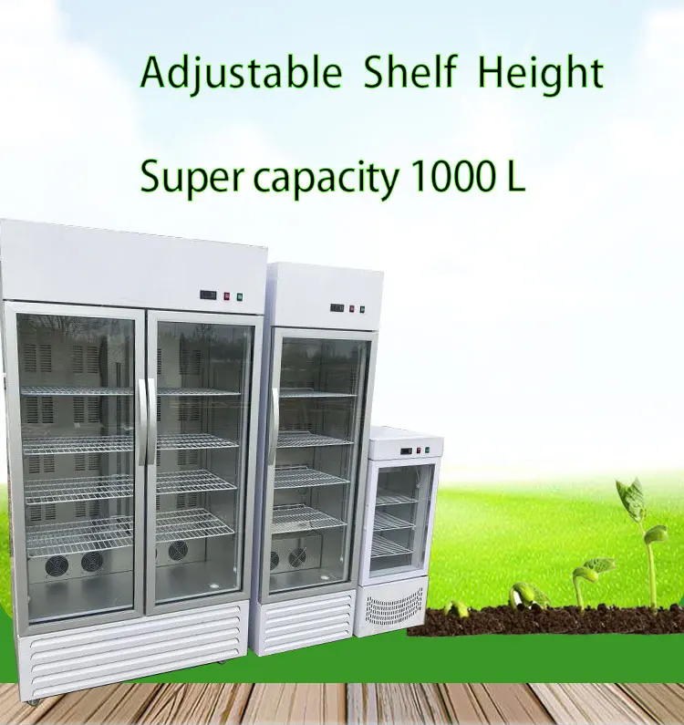 Automatic Germination/Barley Wheat Seeds Germinating Machine/Fodder Sprouting Machine Pasen Machine for Seeds Germ details