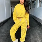 Sweat Suits Wholesale Hooded Sweatsuit 2 Piece Joggers Custom Tracksuits Jogging Wear Set Cotton Sweat Suits Women