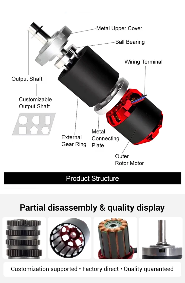 Planetary Gear Motor, 42GP-4250, Brushless, 24V - detail 10