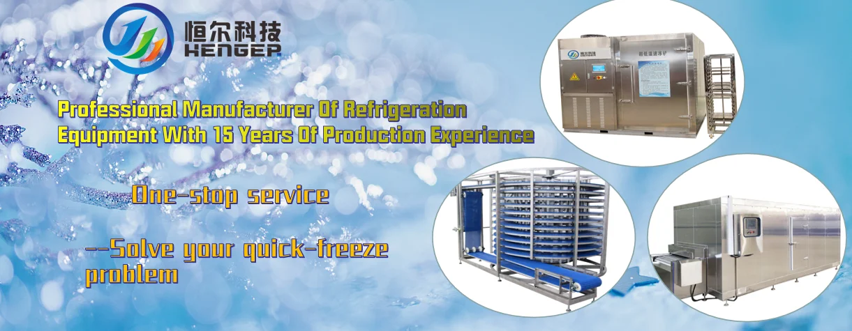 Blast Freezer, 380V - detail 2