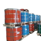 Coated Ppgl Color Coated Price Hot Dipped Roofing Ral9002/9006 Prepainted Galvanized Steel Coil Z275