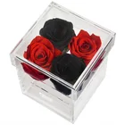Roses Roses Boxes Hot Sale Preserved Roses Long Lasting Roses Valentines Day Gift Preserved Roses Box Preserved Flowers
