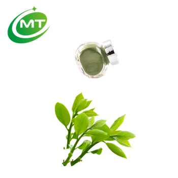 Green Tea L-theanine Extract/ 20% ~ 30% Natural green tea powder