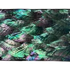 Abalone Shell Abalone Shell Sheets Abalone Shell Veneer Abalone Shell Paper