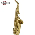Professional High Grade Woodwind Instrument RSA-X5 Alto Saxophone