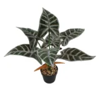 YHE109-630-7 Hot Selling Artificial Potted Plastic Green Leaf Plant Interior Decoration