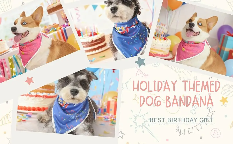 Birthday scarf model display