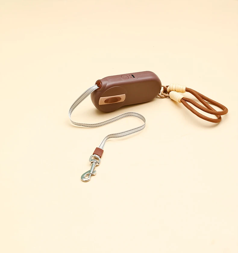 Wholesale New 2 in 1 Multifunctional Outdoor Portable Pet Leash USB Rechargeable Hand Warming Pet Supplies manufacture