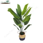 Artificial Banana Bananas Tree Artificial Indoor Indoor Artificial Banana Tree With Bananas Fake Strelitzia Plants