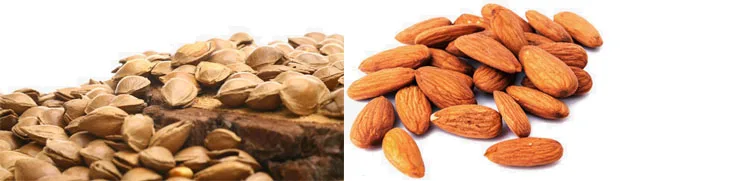 High Quality Palm Nut Kennel Shell Crackers and Separator Machine manufacture