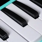 Clé de 27 mélodica instrument de clavier de musique dans un boîtier en plastique