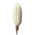 Natural Color Aroma Diffus Sola Paper Flower Reed Diffuser Stick