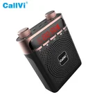 Audio Audio Amplifier CallVi V-919 Portable Wireless Speaker Karaoke Mini Audio Amplifier With Wireless Mic