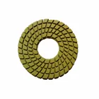 Grinding Diamond Pad Polishing Granite Marble Granite Grinding Stone Wet 10 Inch Diamond Polishing Pad