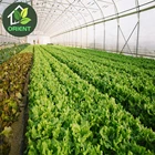 Cheap Portable Plastic Film Greenhouse Crop Cultivation