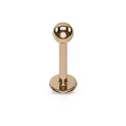 Steel Piercing Rings Lip Earsteel Stainless Steel Helix Piercing Labret Rings Tragus Jewelry 16G