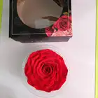 Rose Roses Preserved Roses New Product 9-10 Cm Big Head Rose Ideas 2021 Never Withered Roses Perserved Roses