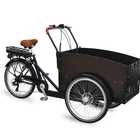 Electric Cargo Bike High Quality Cargo Bike 3 Wheels Tricycle Cargo Kids Bike Cargo Trailer Electric Bike