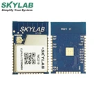 Wireless Transmitter Module SKYLAB IEEE 802.11 B/g/n 2.4ghz Esp8266 Transmitter Receiver Modul Smart Home Gateway Iot Wireless Wifi Module