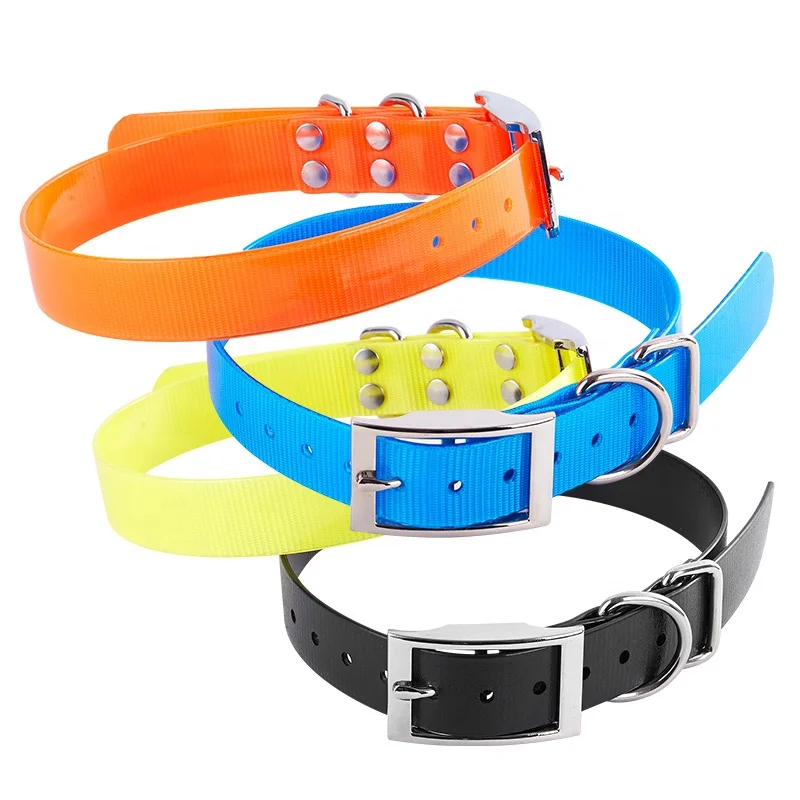 dayglo dog collars