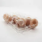 Pvc Egg Egg Pvc Tray 6 15 Holes Transparent PET PVC Egg Boxes Packaging Plastic Quail Egg Tray