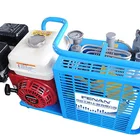 Pressure Air High Pressure Compressor Piston High Pressure Electric Air Compressor For Air Rifle