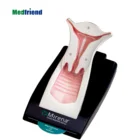 Model Anatomical Models Factory Price Advanced Anatomical Female IUD Demonstration Model
