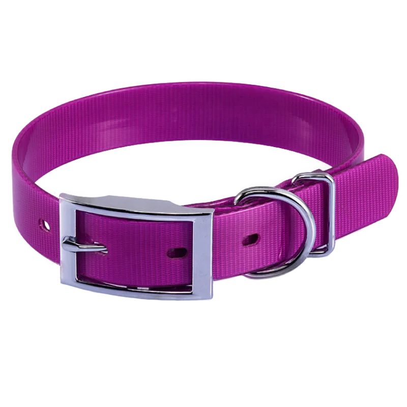 smart buckle dog collar