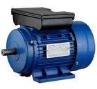 YL series single phase dual-capacitor copper winding wire induction motor
