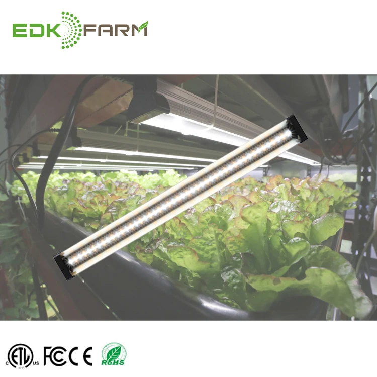 lighthouse led grow light