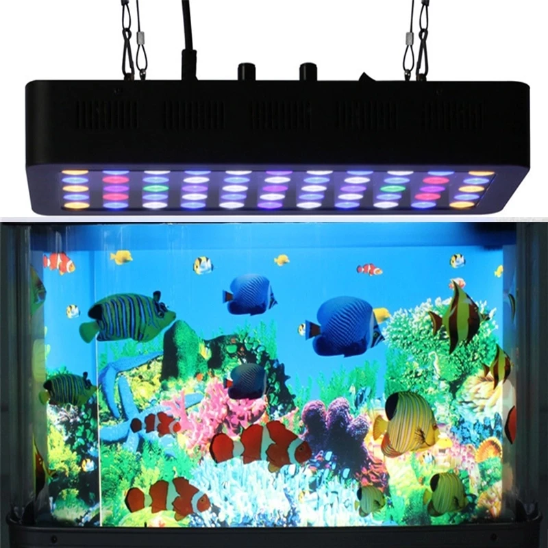 Economie Bier projector Smart Wifi Control Series Led Aquarium Light Dimmable Full Spectrum For  Coral Reef Grow Fish Tank - Buy Aquarium Led,Coral Reef Led Aquarium  Light,Planted Aquarium Product on Alibaba.com