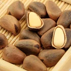 Pine Nuts Shell Pine Nuts Shelling Organic Cheap Bulk Open Pine Nut/pine Seed/pine Nuts In Shell
