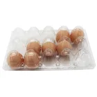 Pvc Egg Egg Plastic Blisters OEM Disposable Clear PET PVC Blister Clamshell Plastic Egg Tray In Egg Tray