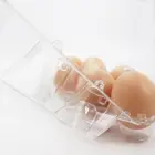 Pvc Egg Tray Egg Packing Plastic Tray 6 15 Holes Transparent PET PVC Egg Boxes Packaging Plastic Quail Egg Tray