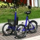 3 Wheel Trike Wheels Trike 3 Wheel Electric Trike Electric Tricycle With Throttle 3 Wheels Bicycle