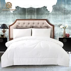 Comforter Hot Selling Wholesale Price Pure White Mulberry Silk Quilt Silk Duvet Silk Comforter