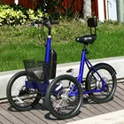 2 Front Wheel Power Assist Electric Bicycle Single Speed 3 Wheel Electric Cargo Tricycle With Throttle