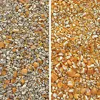 Maize Maize Cleaning And Grading Machine Small Scale Corn Processing Machine Maize Cleaning And Grading Machine