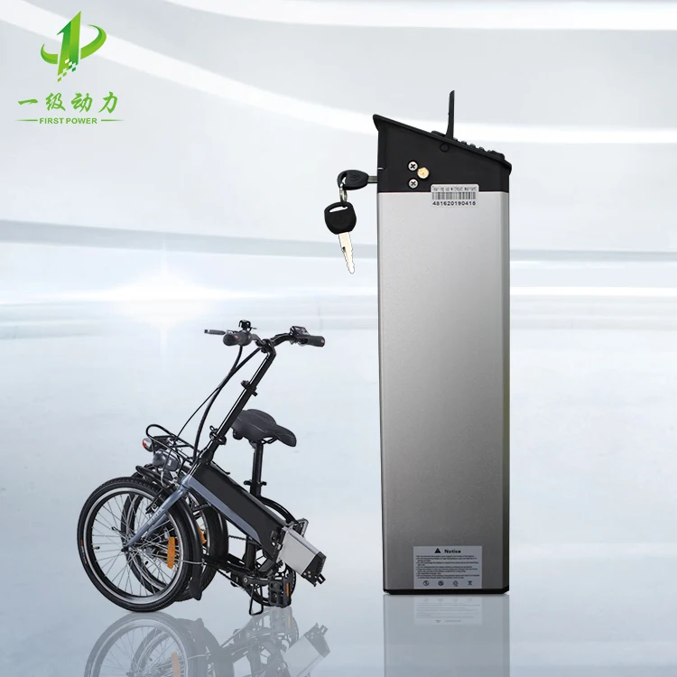 Electric Bike 1000w 48v 10.5ah Electric 