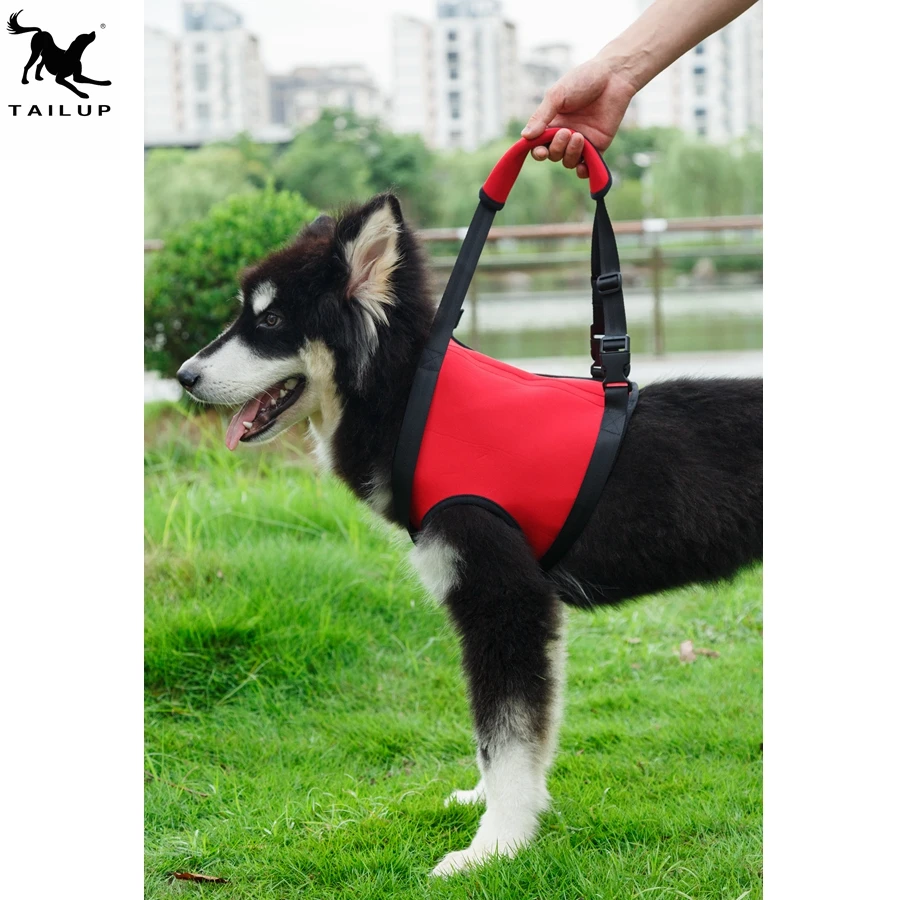 tailup dog harness