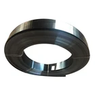 Spring Strip 65mn Shutter Door Spring Steel Strip