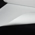 Film Film For Led Lighting China Factory High Quality PET White Film PET Reflecting Film Led Film For LED Lights