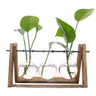 Plant Plant Terrarium With Wooden Stand Glass Vase Holder For Home Decoration Container 3 Terrariums